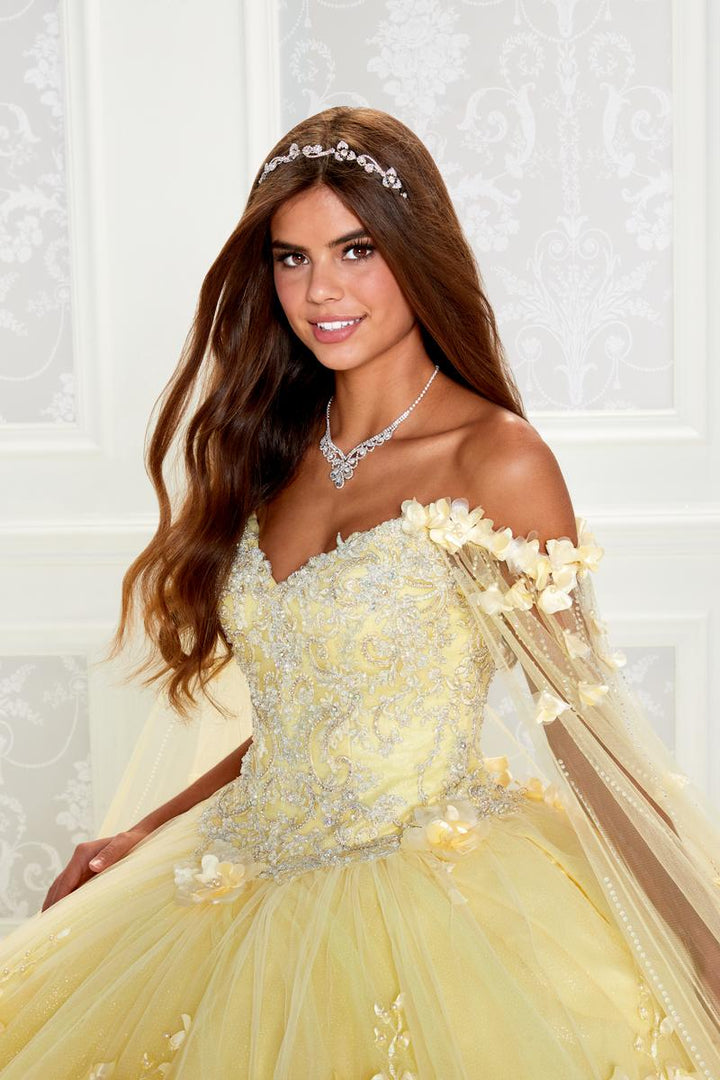 Ariana Vara Princesa PR22021 quinceañera dress in Statesboro boutique