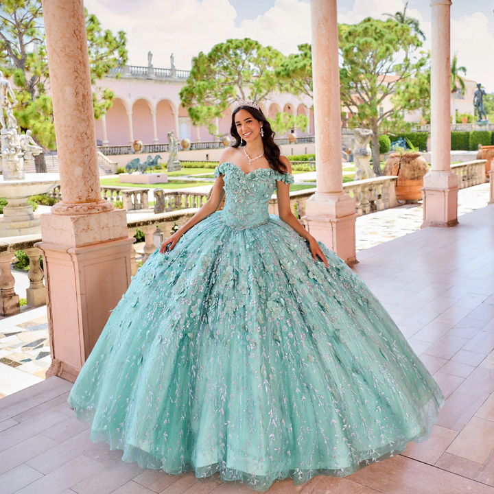 Ariana Vara Princesa PR22036 quinceañera dress in Statesboro boutique