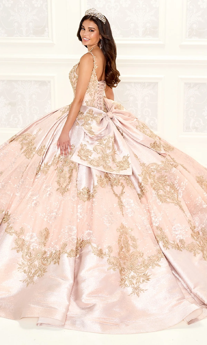 Ariana Vara Princesa PR30085 quinceañera dress in Statesboro boutique